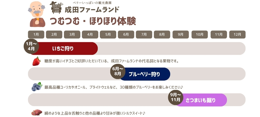 成田ファームランドでつむつむ・ほりほり体験付ご宿泊プラン(朝食付)